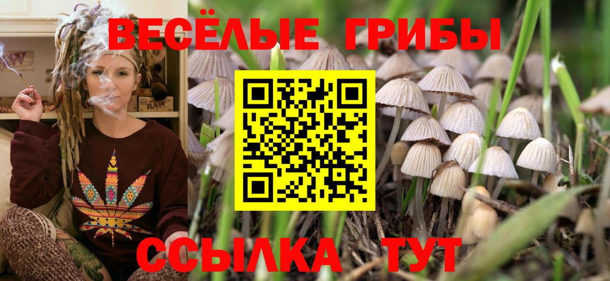 Кувандык  Псилоцибиновые грибы MAGIC MUSHROOMS  Вход с VPN  Галлюциногенные грибы мухоморы 