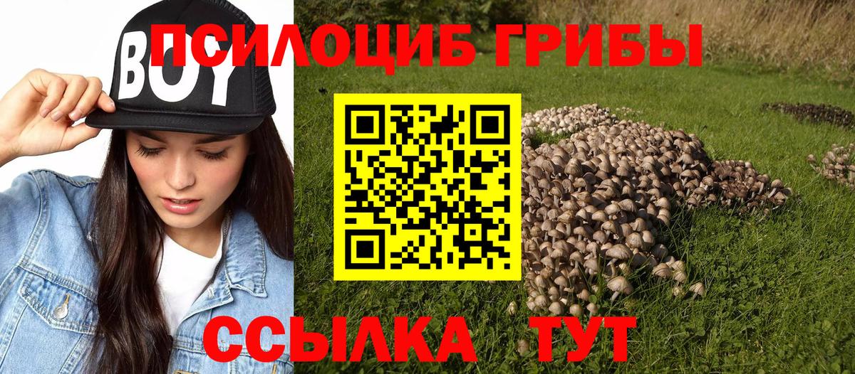 Псилоцибиновые грибы мухоморы Кувандык